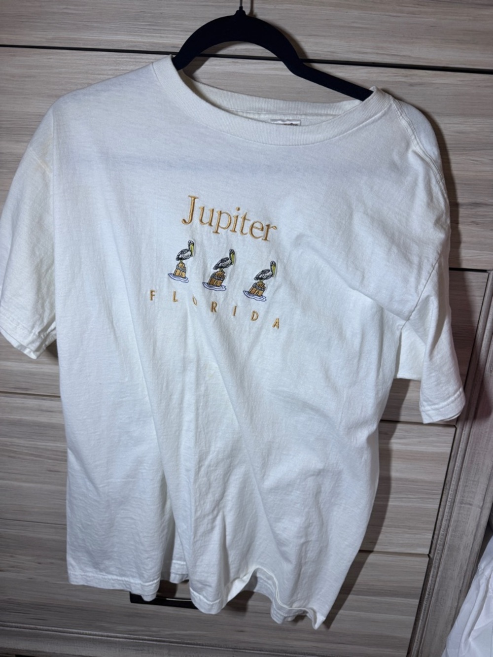 Jupiter Florida Embroidered Tee - White